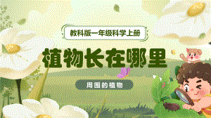 1.3 植物长在哪里 ppt课件- 2024新教科版一年级上册《科学》.pptx