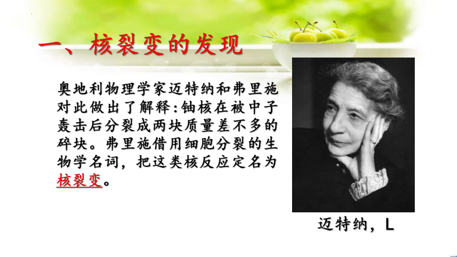 5.4 核裂变与核聚变 课件-2022-2023学年高二下学期物理人教版（2019）选择性必修第三册.pptx_第3页