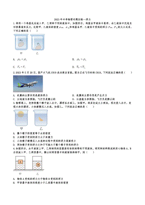 2023年中考物理专题训练—浮力.docx