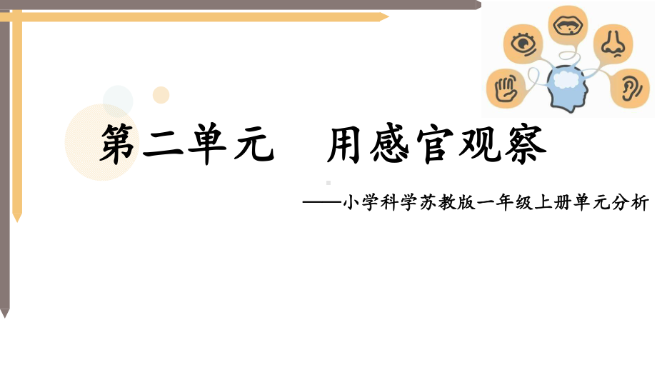 2《用感官观察》单元分析 课件(共11张PPT) -2024新苏教版一年级上册《科学》.pptx_第1页