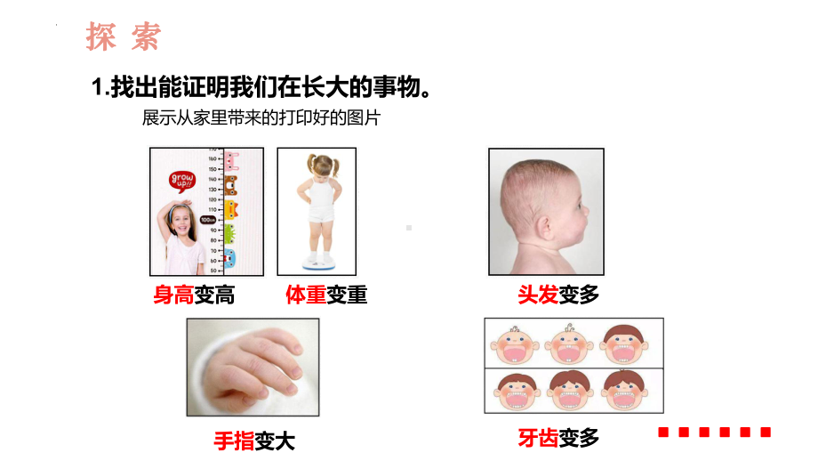 2.2发现生长 课件ppt-2024新教科版一年级上册《科学》.pptx_第3页