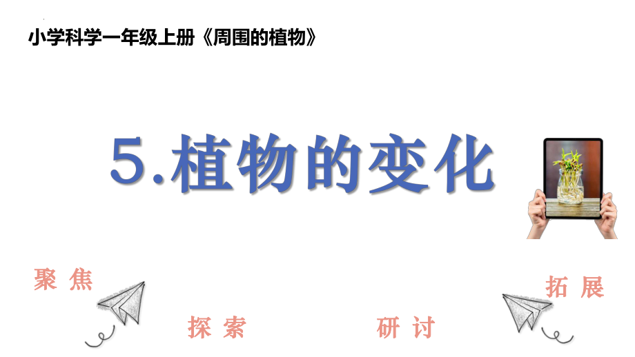 1.5.植物的变化 课件ppt-2024新教科版一年级上册《科学》.pptx_第1页