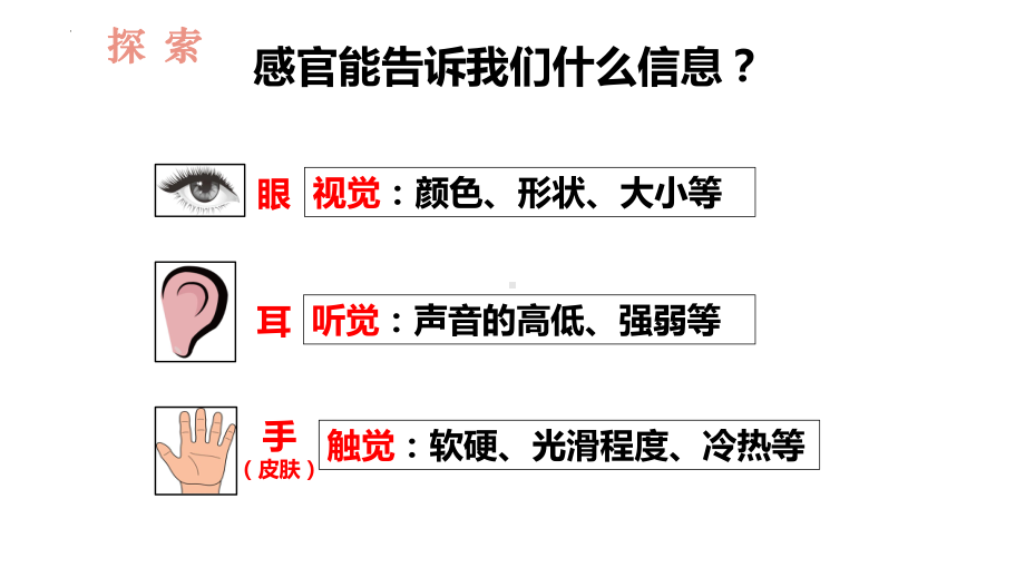 2.5通过感官来发现 课件ppt-2024新教科版一年级上册《科学》.pptx_第3页