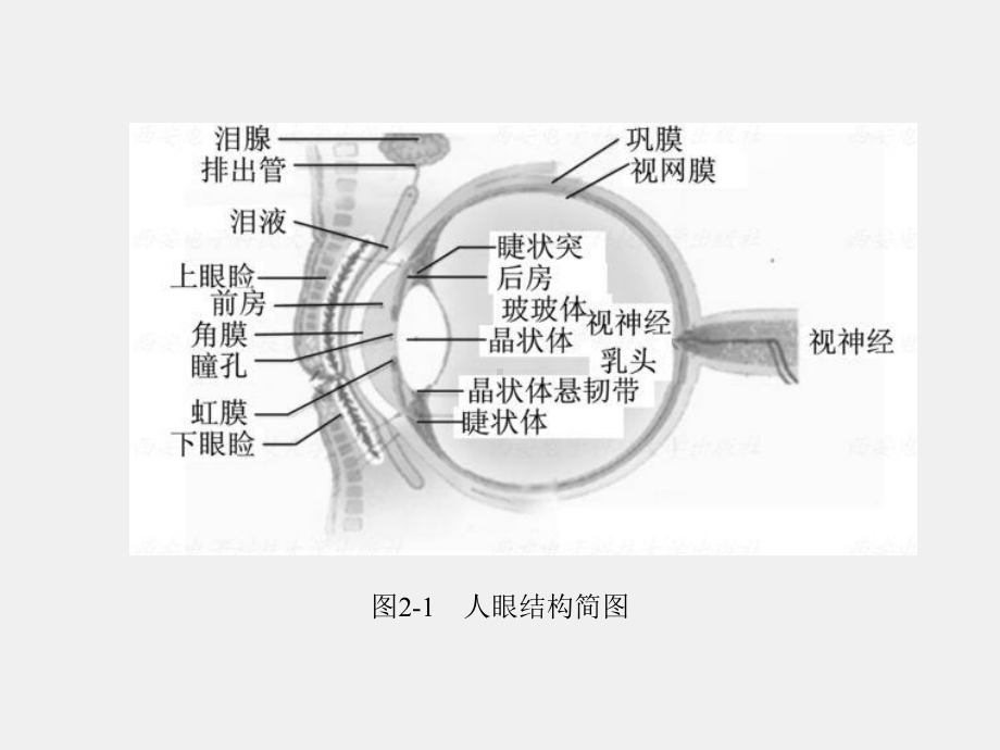 《数字化电视原理与技术》课件第2章.ppt_第3页