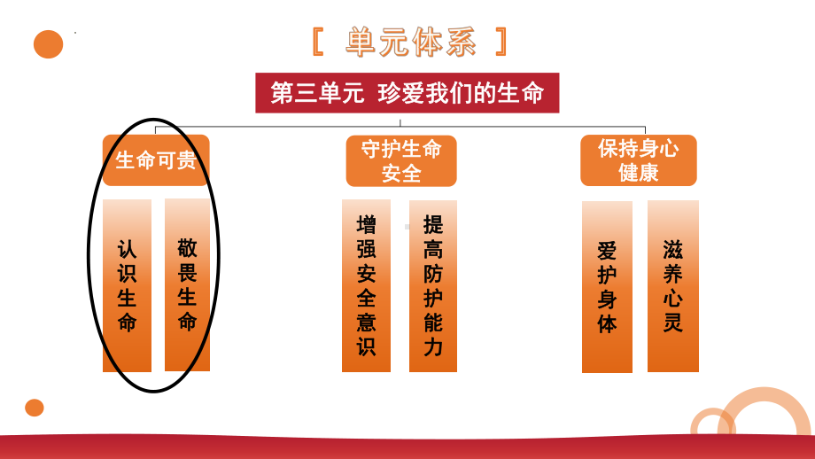 8.1 认识生命 ppt课件-（2024新部编）统编版七年级上册《道德与法治》.pptx_第1页