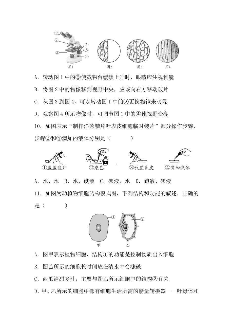 北师大版（2024）生物七年级上册期中质量评价达标测试卷.DOC_第3页