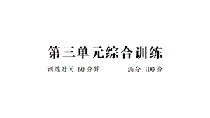 小学数学西师版二年级上册第三单元《综合训练》作业课件（2024秋）.pptx