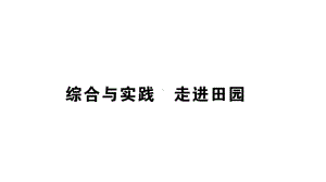 小学数学西师版二年级上册第六单元《综合与实践 走进田园》第1课时作业课件（2024秋）.pptx