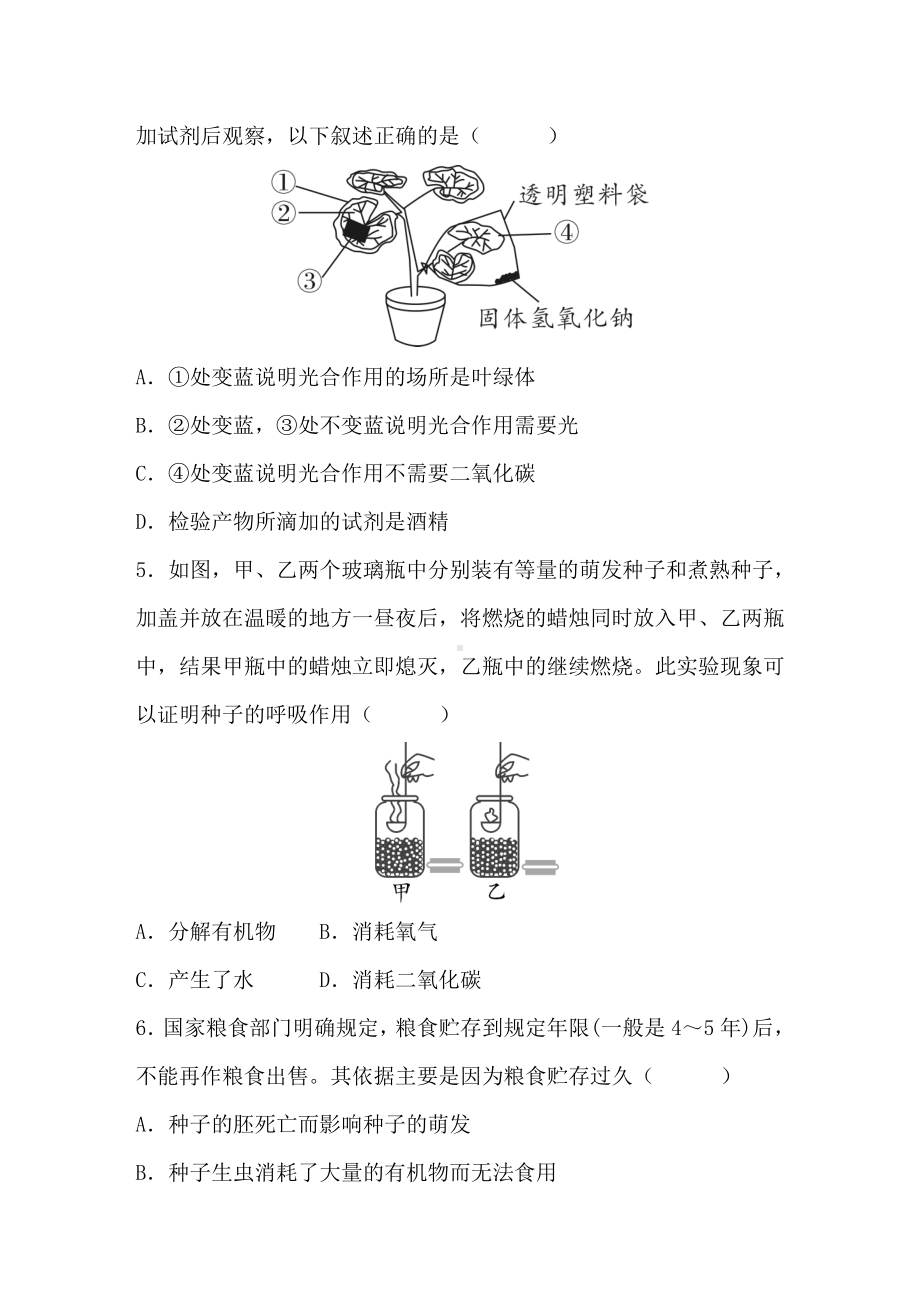 第3单元　植物的生活第4章　绿色开花植物的生活方式 达标测试卷（含答案）北师大版（2024）生物七年级上册.DOC_第2页