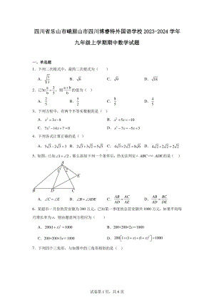 四川省乐山市峨眉山市四川博睿特外国语学校2023-2024学年九年级上学期期中数学试题.pdf