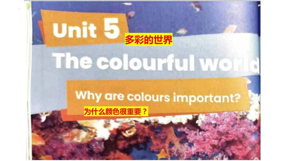 Unit5 The colourful world（ppt课件）-2024新人教PEP版三年级上册《英语》.pptx_第1页