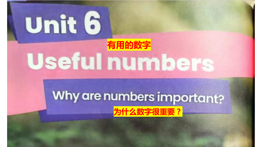 Unit6 Useful numbers（ppt课件）-2024新人教PEP版三年级上册《英语》.pptx_第1页