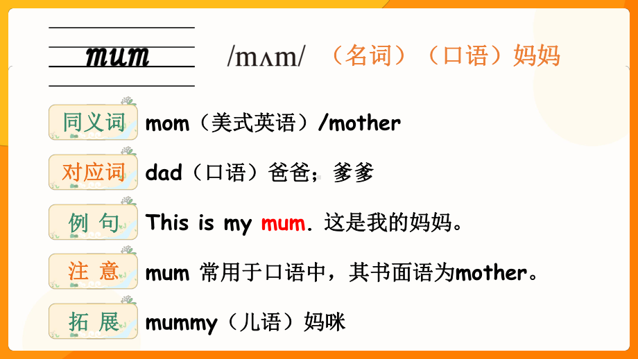 Unit2 Different families 词汇讲解ppt课件(共31张PPT)-2024新人教PEP版三年级上册《英语》.pptx_第2页