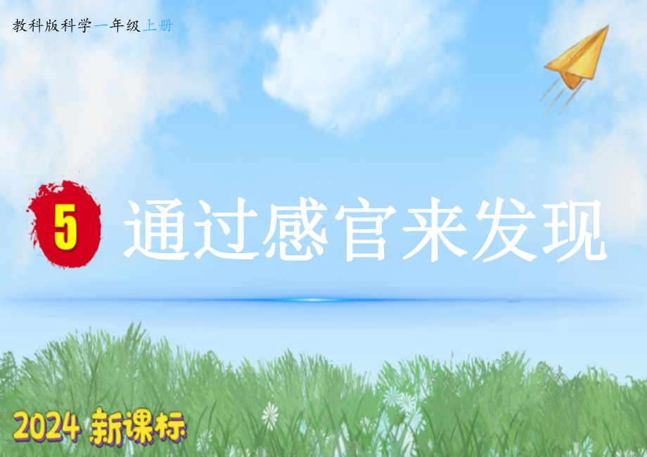 2.5 通过感官来发现 （ppt课件）-2024新教科版一年级上册《科学》.pptx_第1页