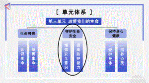 9.2 提高防护能力 ppt课件-（部）统编版七年级《道德与法治》上册.pptx