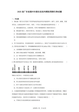 2025届广东省惠州市惠东县高考模拟预测生物试题.docx