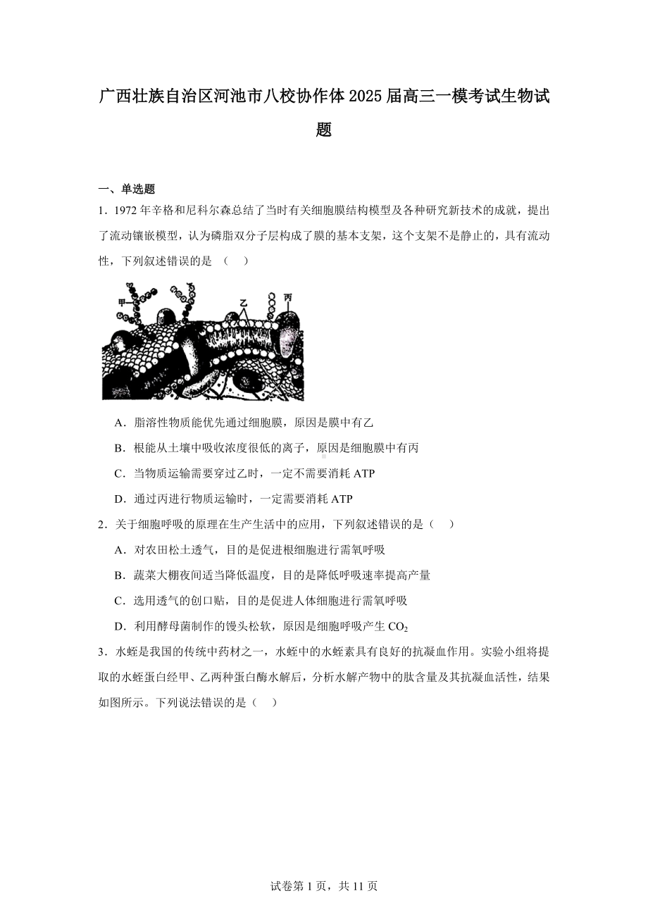 广西壮族自治区河池市八校协作体2025届高三一模考试生物试题.docx_第1页