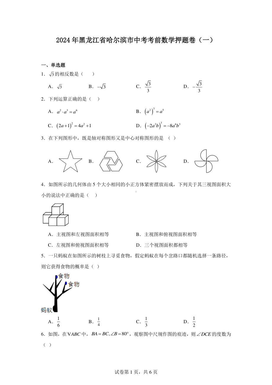 2024年黑龙江省哈尔滨市中考考前数学押题卷(一).pdf_第1页