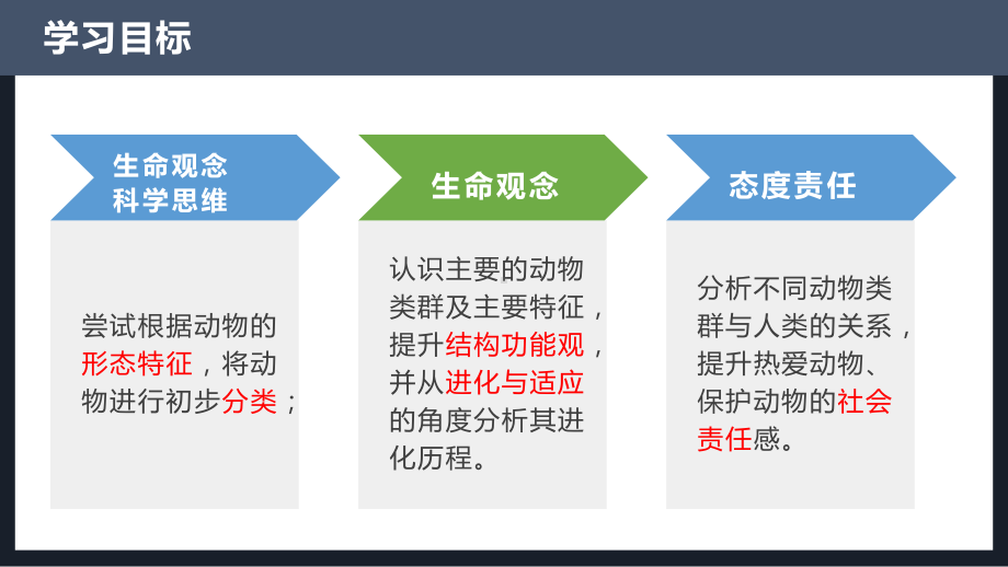 2.2.1无脊椎动物ppt课件-人教版生物七年级上册2024新教材.pptx_第3页