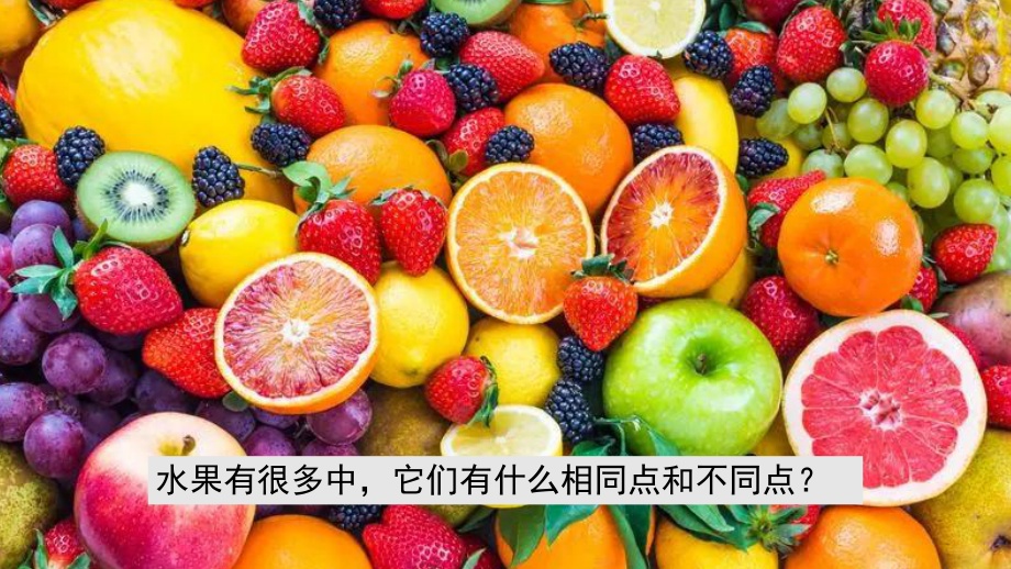 5.观察水果(ppt课件）-2024新人教鄂教版一年级上册《科学》.pptx_第3页