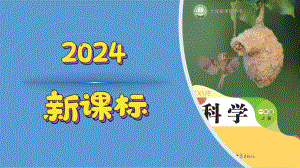 体验单元画蚂蚁 ppt课件-2024新大象版一年级上册《科学》.pptx