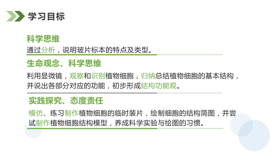 1.2.2植物细胞ppt课件-人教版生物七年级上册2024新教材.pptx_第2页