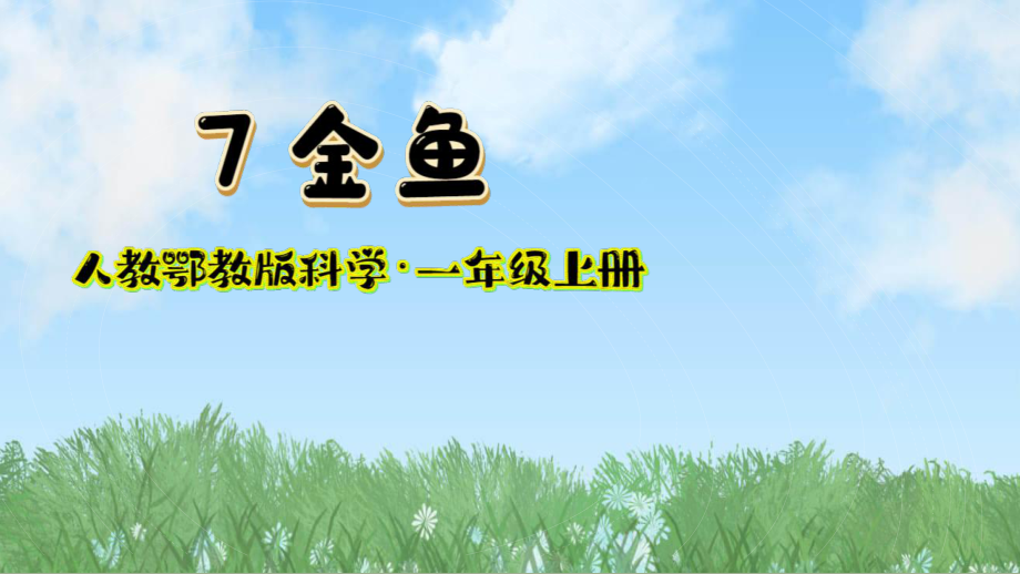 7 金鱼 ppt课件-2024新人教鄂教版一年级上册《科学》.pptx_第2页