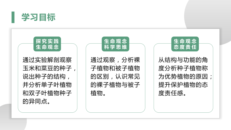 2.1.2种子植物ppt课件-人教版生物七年级上册2024新教材.pptx_第2页