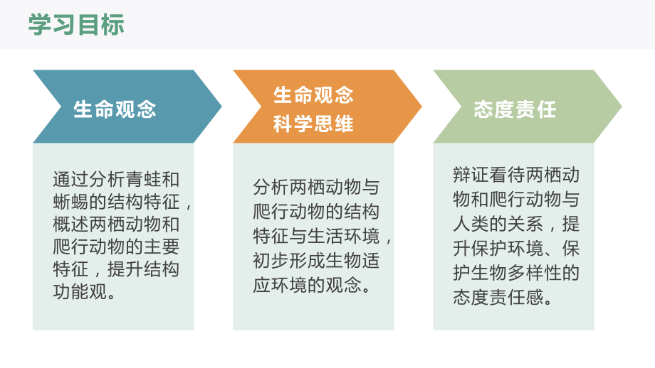 2.2.2-2两栖动物和爬行动物ppt课件-人教版生物七年级上册2024新教材.pptx_第2页