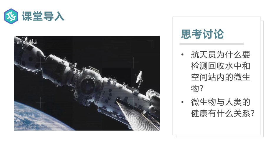 2.3.1微生物的分布ppt课件-人教版生物七年级上册2024新教材.pptx_第3页