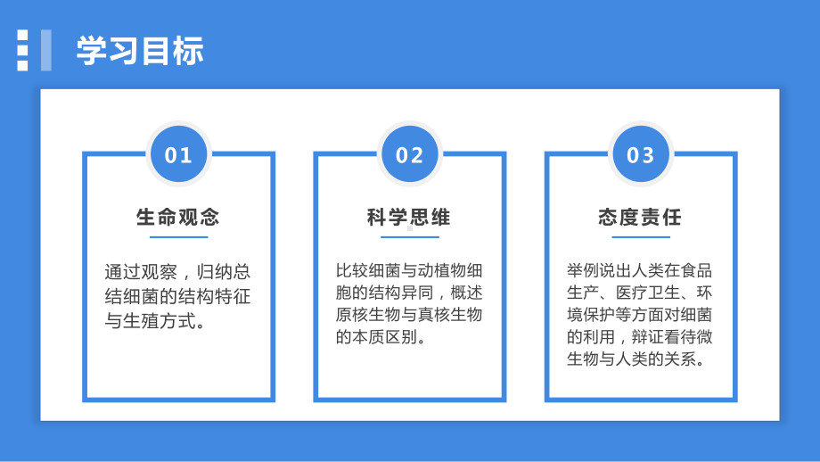 2.3.2细菌ppt课件-人教版生物七年级上册2024新教材.pptx_第3页