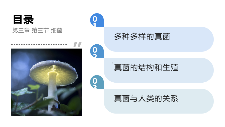 2.3.3真菌ppt课件-人教版生物七年级上册2024新教材.pptx_第3页