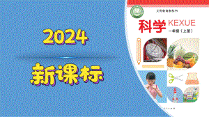 2.7 手工作品秀（教学ppt课件）-2024新冀人版一年级上册《科学》.pptx