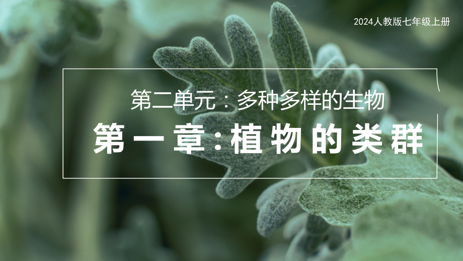 2.2.1藻类、苔藓和蕨类ppt课件-人教版生物七年级上册2024新教材.pptx_第1页