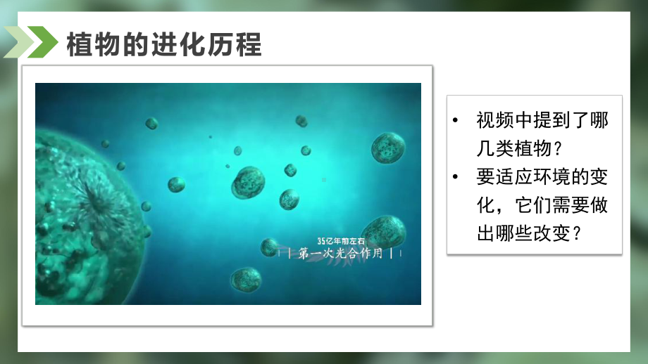 2.2.1藻类、苔藓和蕨类ppt课件-人教版生物七年级上册2024新教材.pptx_第2页