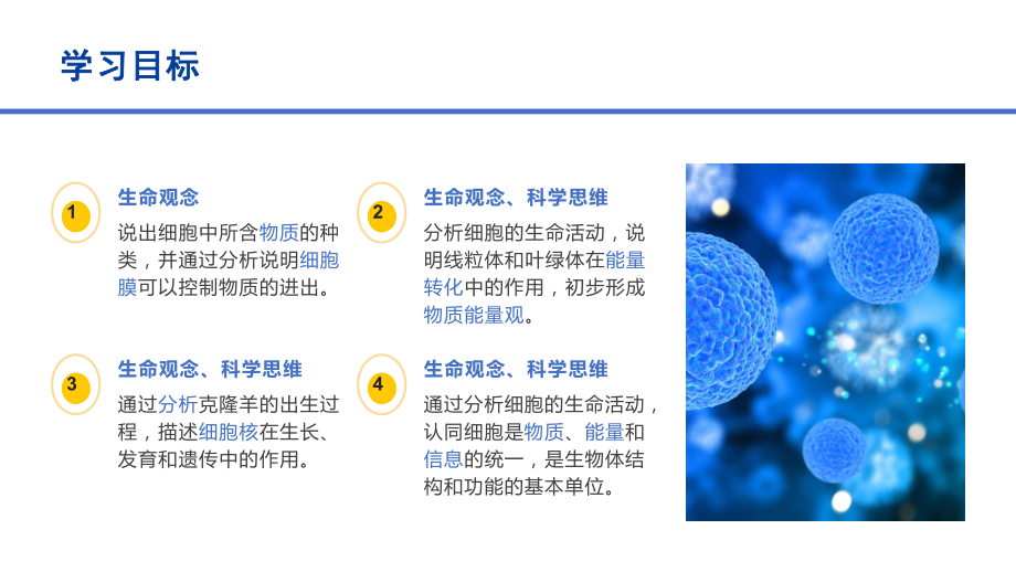 1.2.4细胞的生活ppt课件-人教版生物七年级上册2024新教材.pptx_第3页