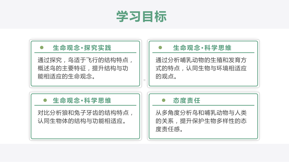 2.2.2-3鸟和哺乳动物ppt课件-人教版生物七年级上册2024新教材.pptx_第2页