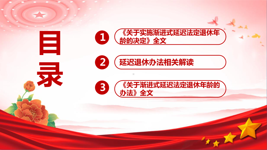 图解《实施渐进式延迟法定退休年龄的决定》主题PPT.ppt_第3页