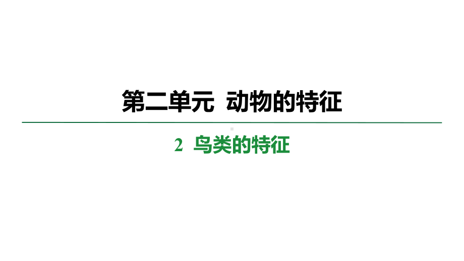 2.2 鸟类的特征 学案课件 大象版科学三年级上册.pptx_第1页