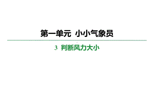 1.3 判断风力大小 学案课件 大象版科学三年级上册.pptx