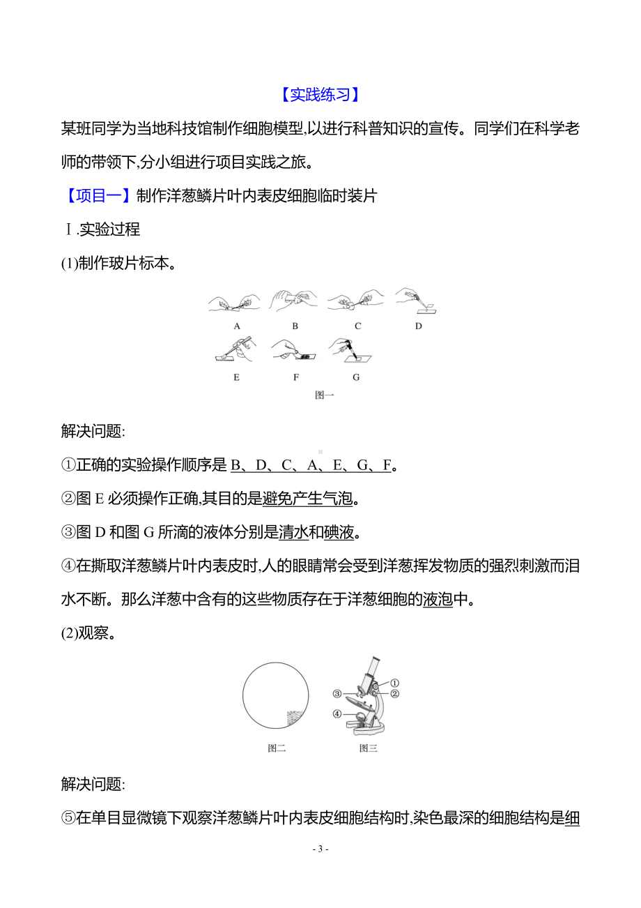 生物人教版7年级上（2024）第一单元　综合实践项目1　制作细胞模型（教案）.docx_第3页