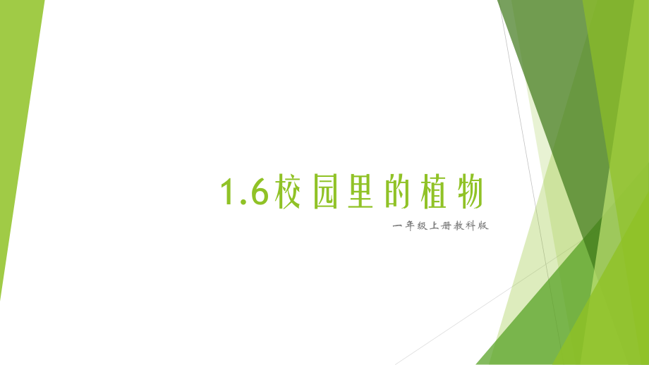 1.6校园里的植物 ppt课件（共13张PPT+视频）-2024新教科版一年级上册《科学》.zip