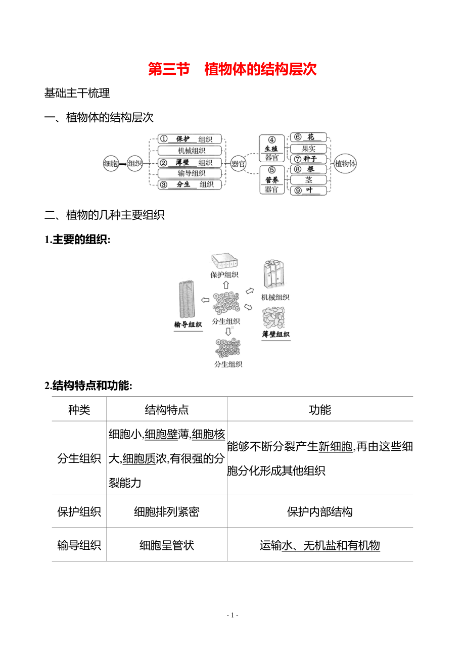 生物人教版7年级上（2024）第一单元　第三章　第三节　植物体的结构层次（教案）.docx_第1页
