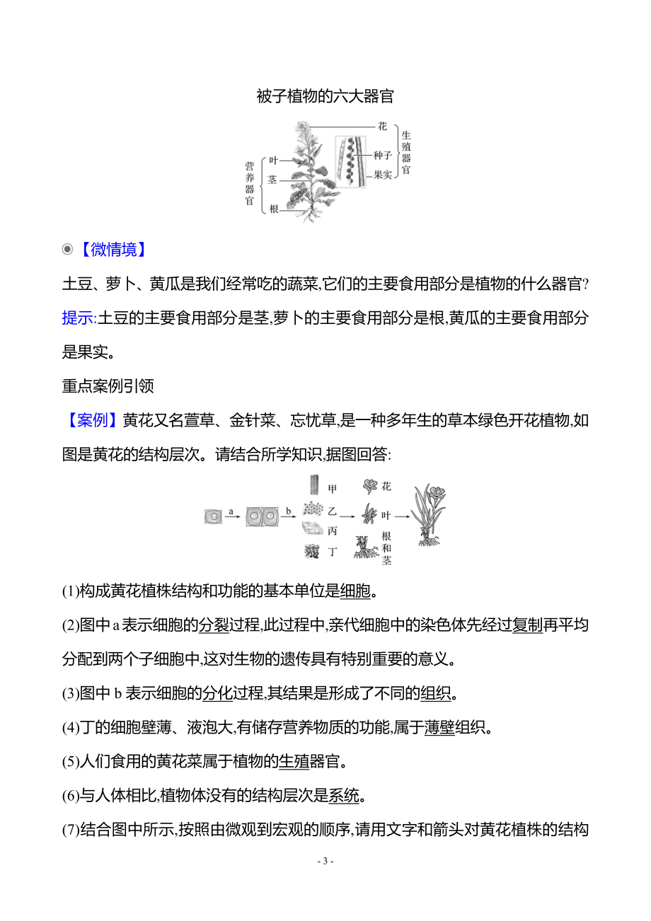 生物人教版7年级上（2024）第一单元　第三章　第三节　植物体的结构层次（教案）.docx_第3页