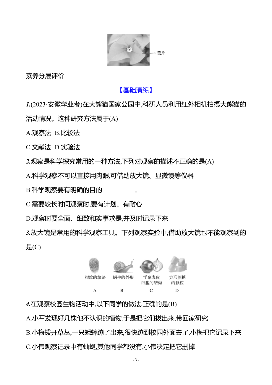 生物人教版7年级上（2024）第一单元　第一章　第一节　观察周边环境中的生物（教案）.docx_第3页