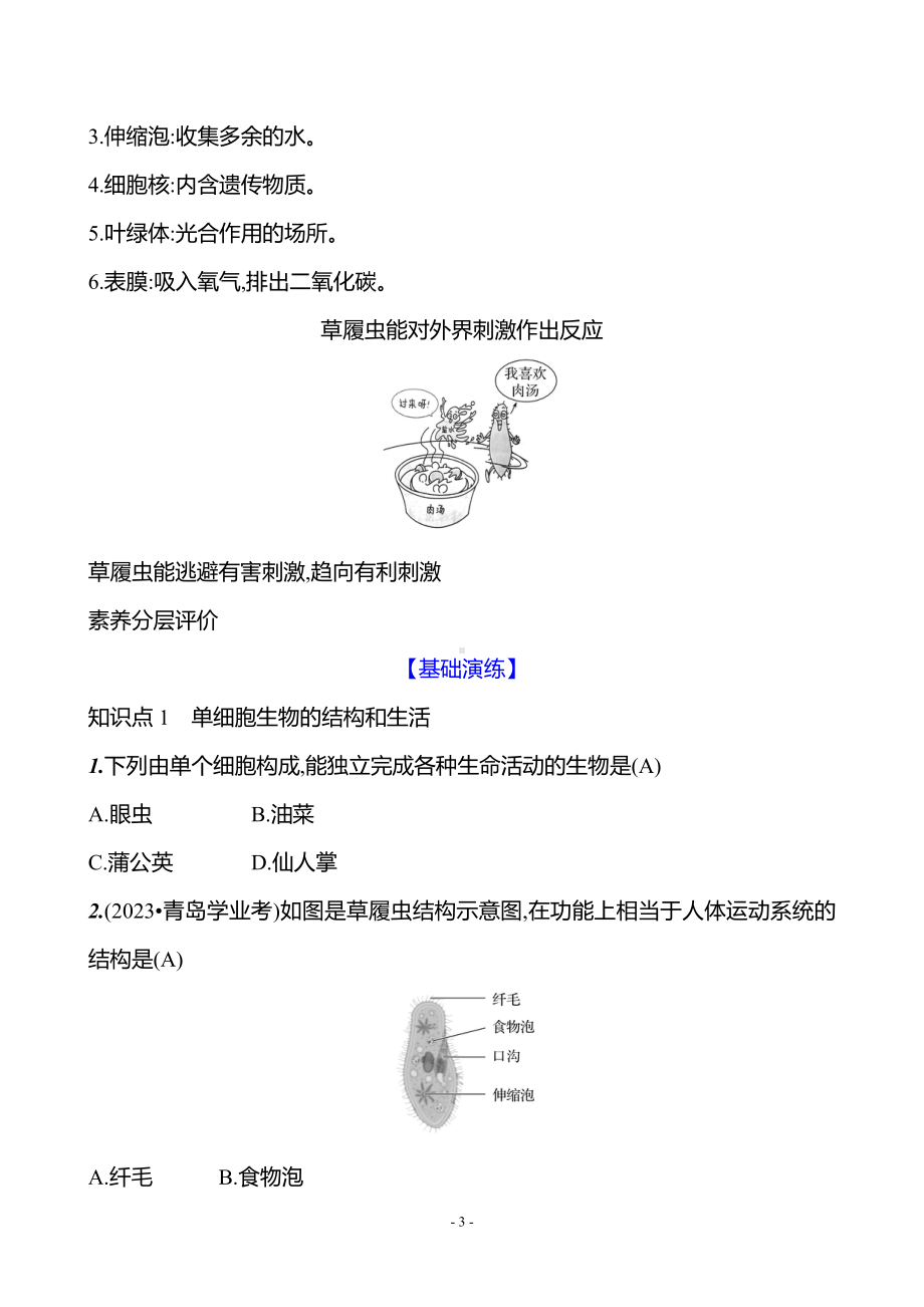 生物人教版7年级上（2024）第一单元　第三章　第四节　单细胞生物（教案）.docx_第3页