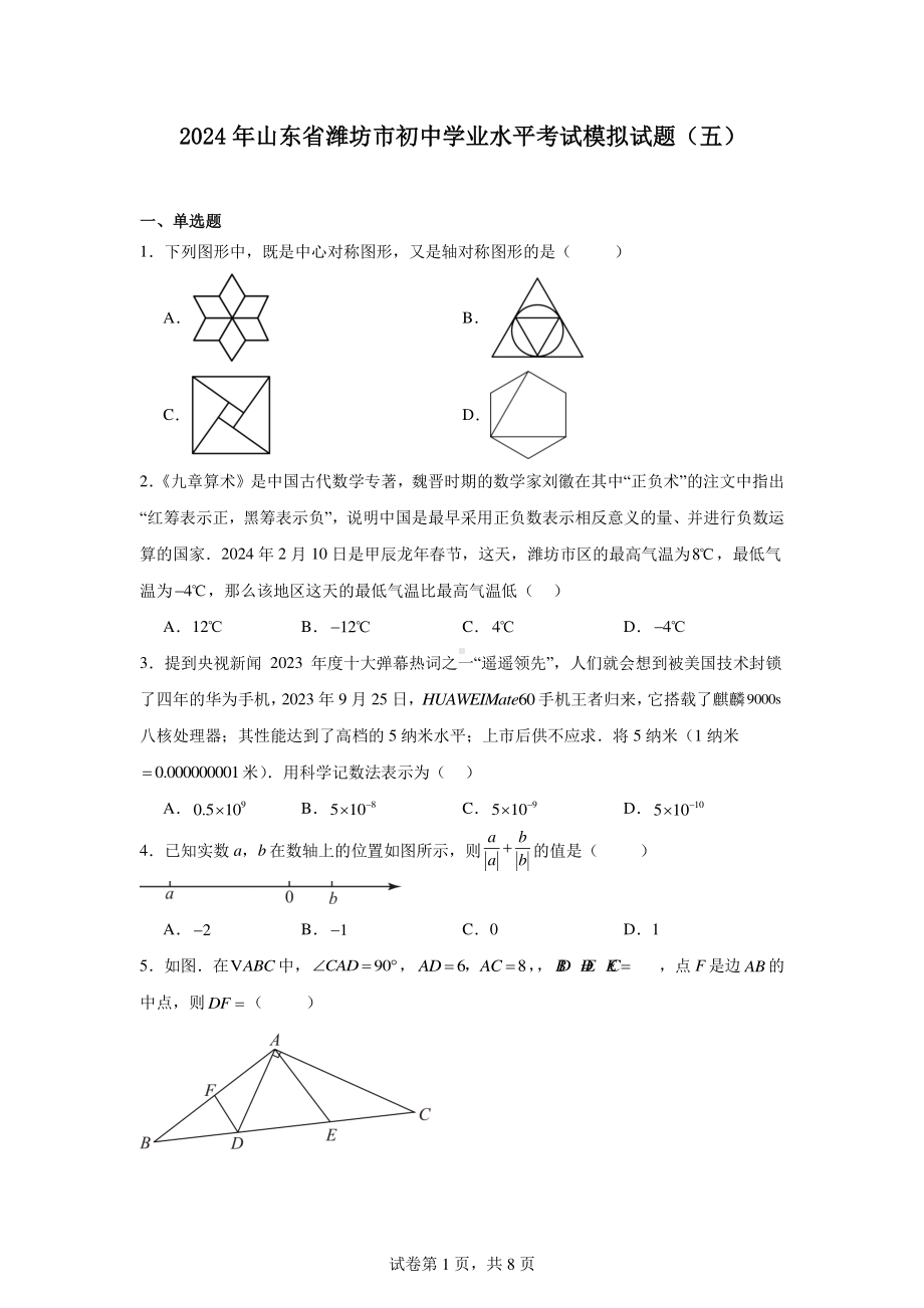 2024年山东省潍坊市初中学业水平考试模拟试题 数学（五）.pdf_第1页