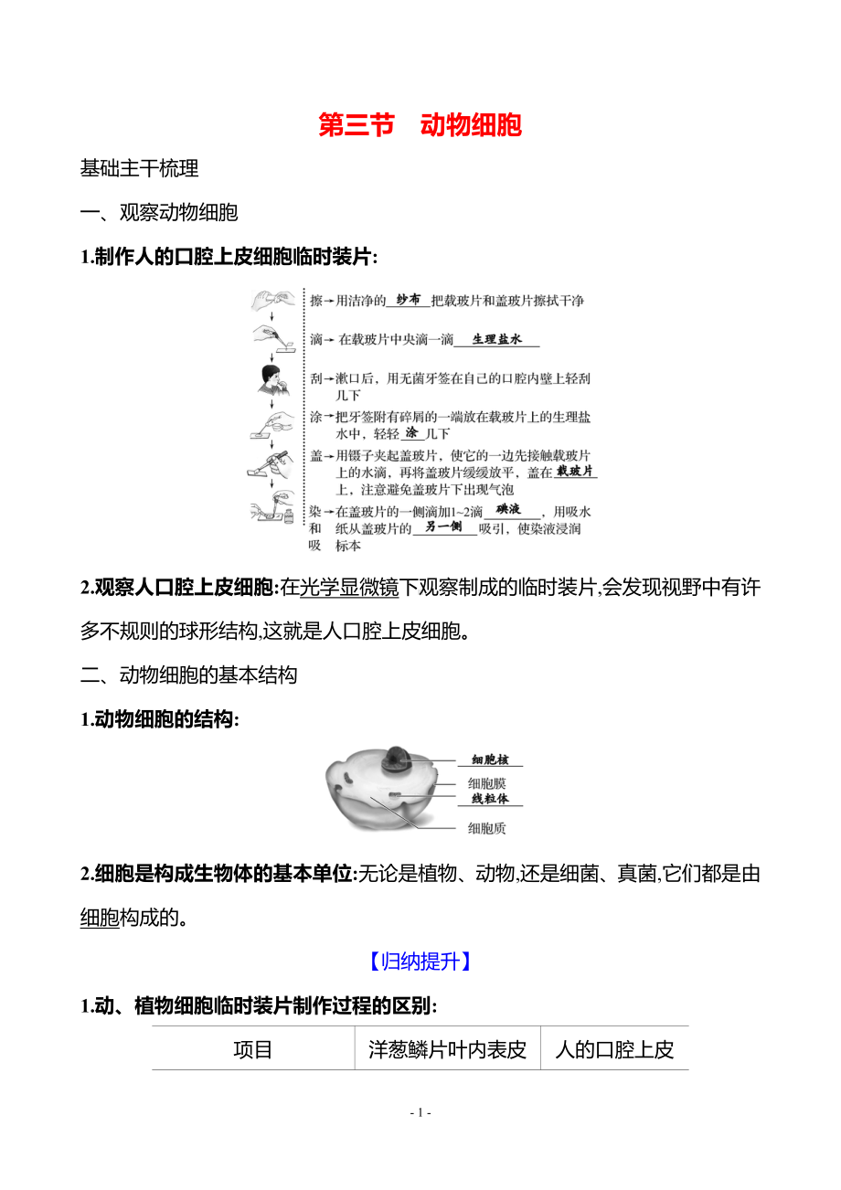 生物人教版7年级上（2024）第一单元　第二章　第三节　动物细胞（教案）.docx_第1页