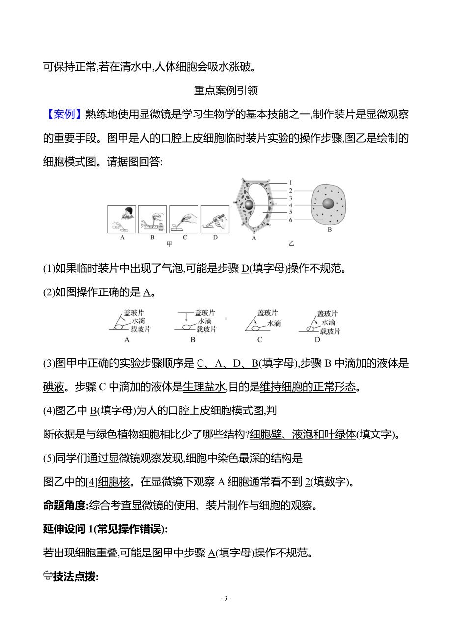 生物人教版7年级上（2024）第一单元　第二章　第三节　动物细胞（教案）.docx_第3页