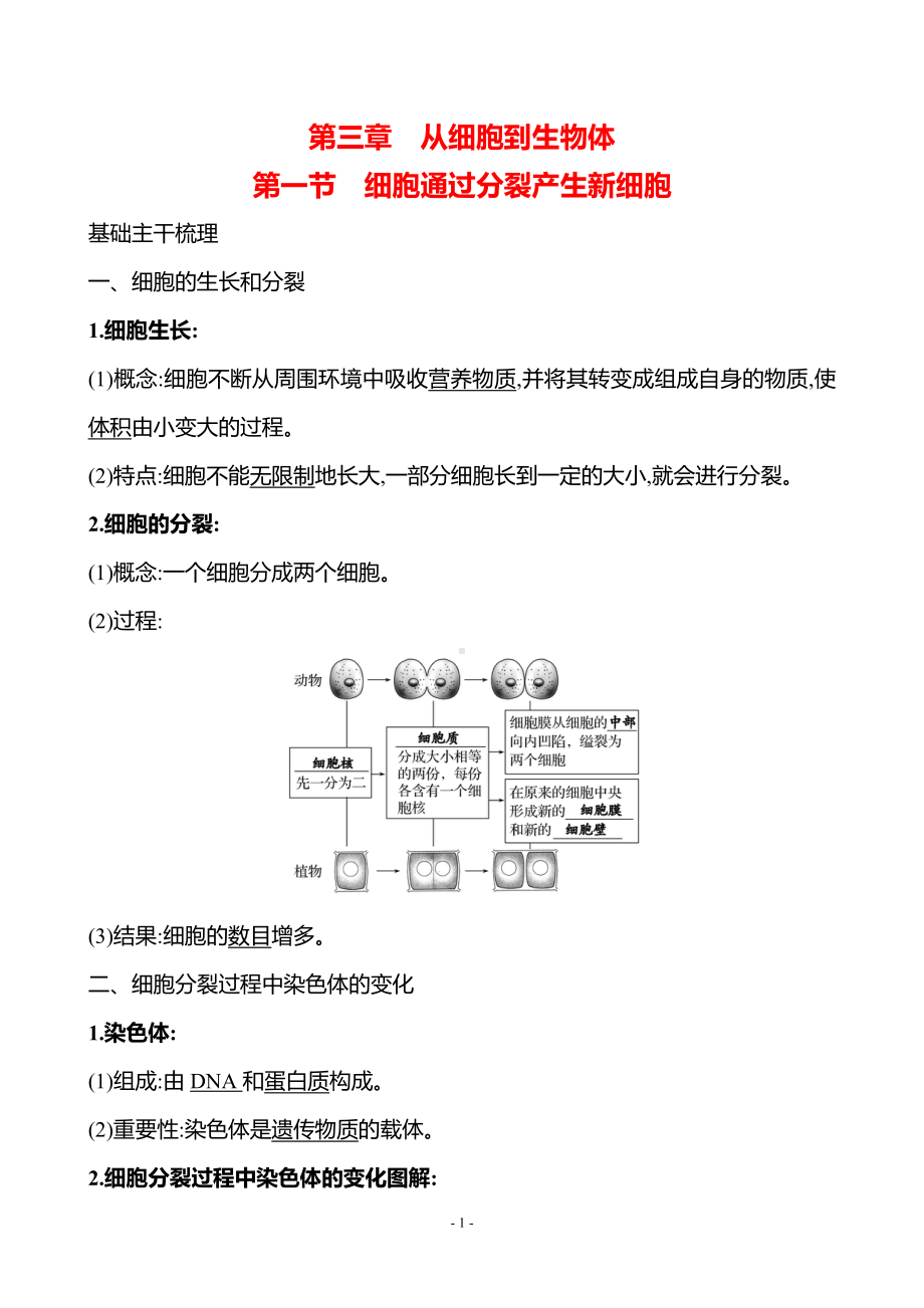 生物人教版7年级上（2024）第一单元　第三章　第一节　细胞通过分裂产生新细胞（教案）.docx_第1页